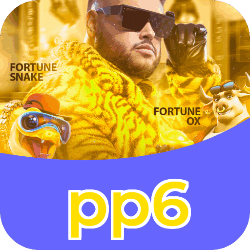 pp6